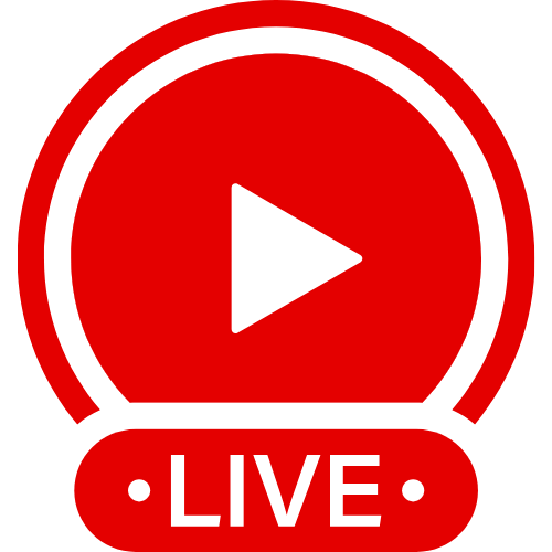 X Hampster Cams | Live Webcam Shows & Interactive Adult Entertainment